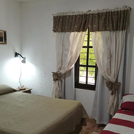 Departamentos Pachamama Apartment Tunuyan Ngoại thất bức ảnh