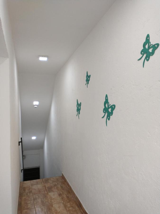 Departamentos Pachamama Apartment Tunuyan Ngoại thất bức ảnh