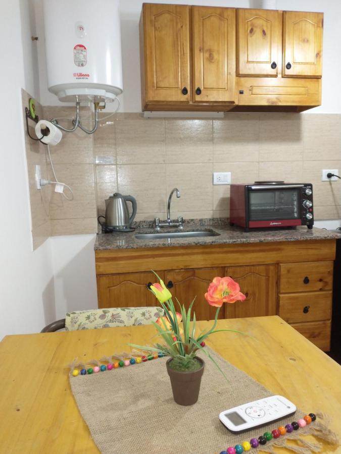 Departamentos Pachamama Apartment Tunuyan Ngoại thất bức ảnh